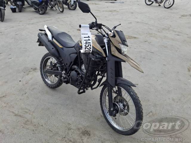 2023 YAMAHA XTZ 250 