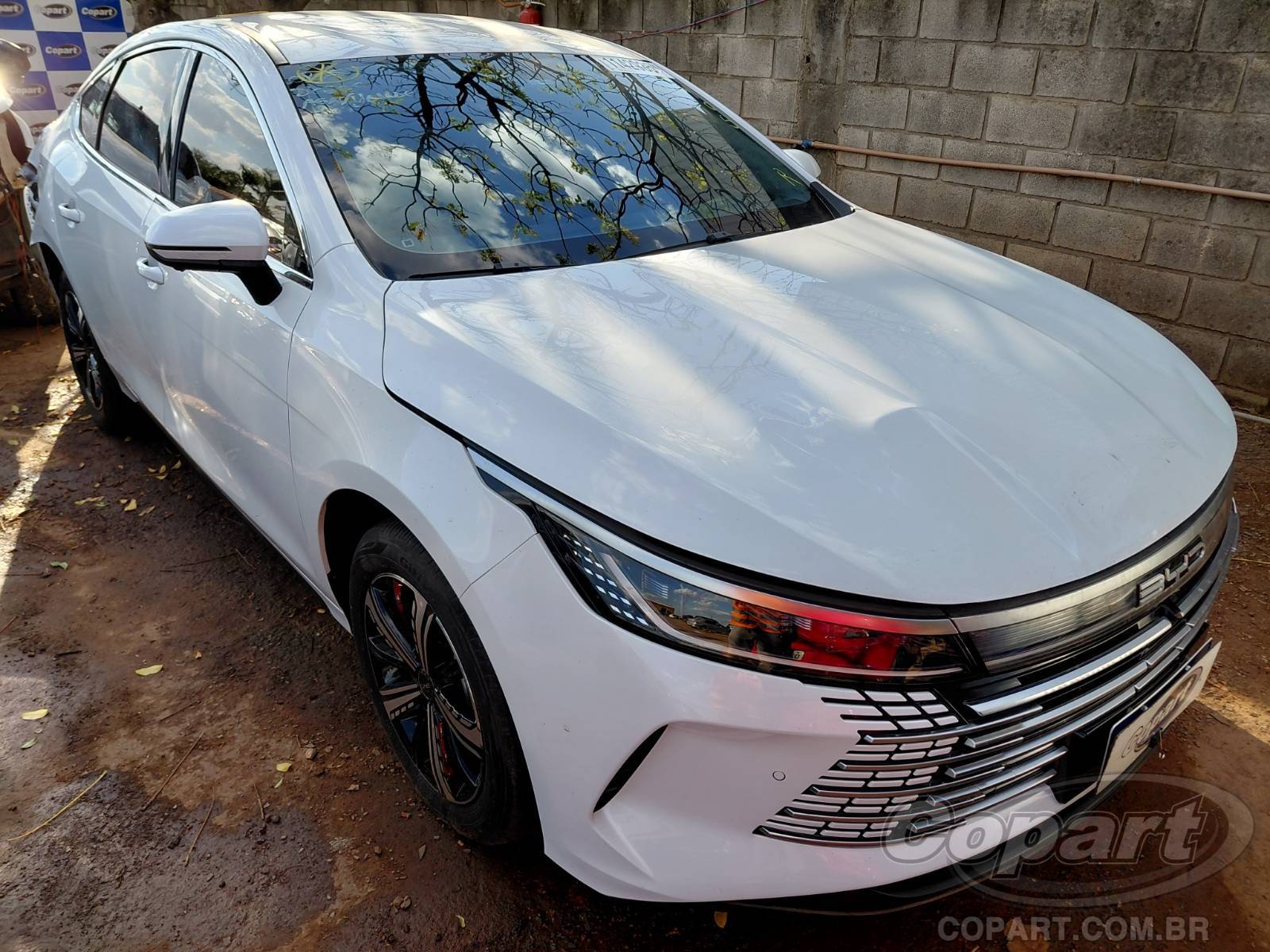 2025 BYD KING