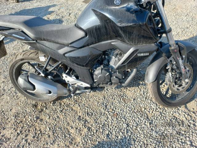 2024 YAMAHA FZ15 