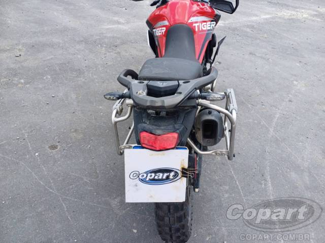 2024 TRIUMPH TIGER 