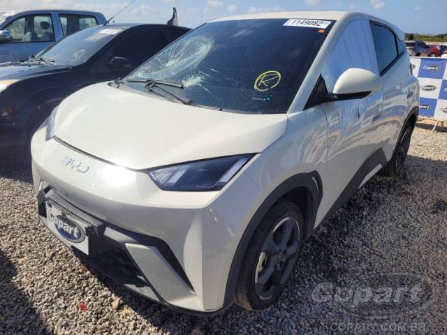 2025 BYD DOLPHIN MINI 
