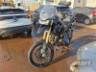 2025 TRIUMPH TIGER 