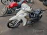 2024 HONDA BIZ 