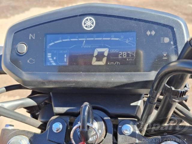 2025 YAMAHA FACTOR 