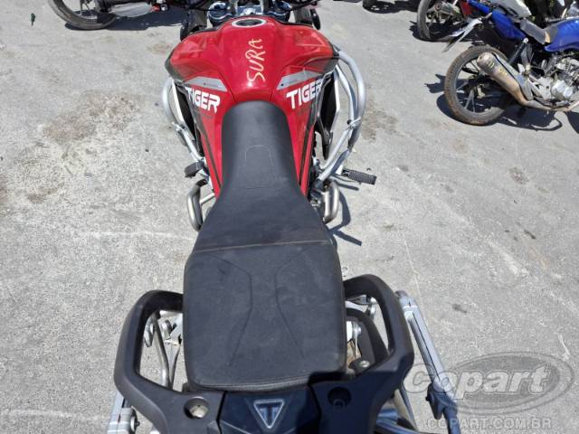 2024 TRIUMPH TIGER 