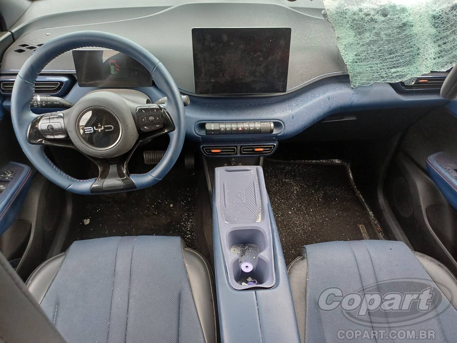 2026 BYD DOLPHIN MINI — foto 9 de 10
