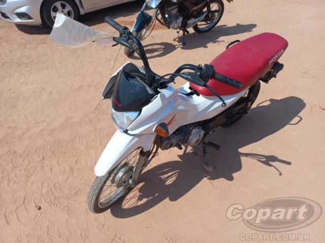 2019 HONDA POP 