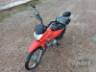 2022 HONDA POP 