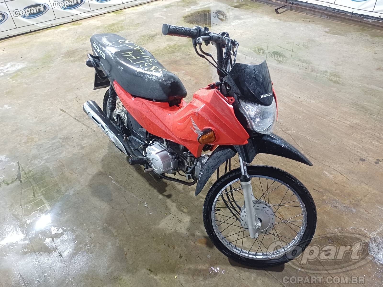 2023 HONDA POP