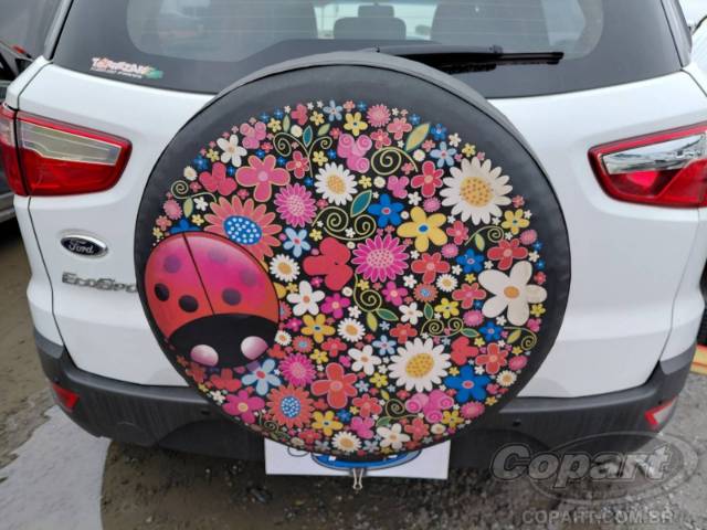 2013 FORD ECOSPORT 
