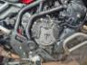 2024 TRIUMPH TIGER 