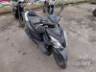 2024 HONDA ELITE 