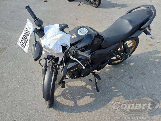 2025 YAMAHA FACTOR 