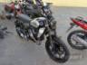 2024 DUCATI SCRAMBLER