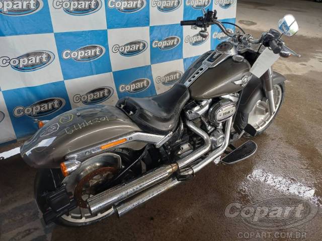 2019 HARLEY-DAVIDSON SOFTAIL 