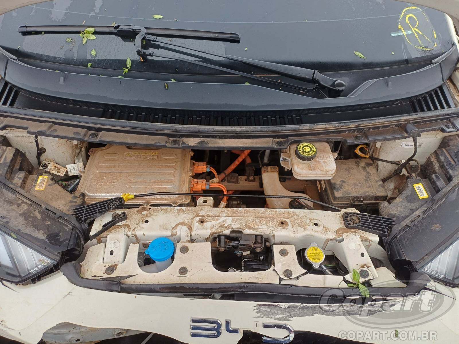 2026 BYD DOLPHIN MINI — foto 7 de 10