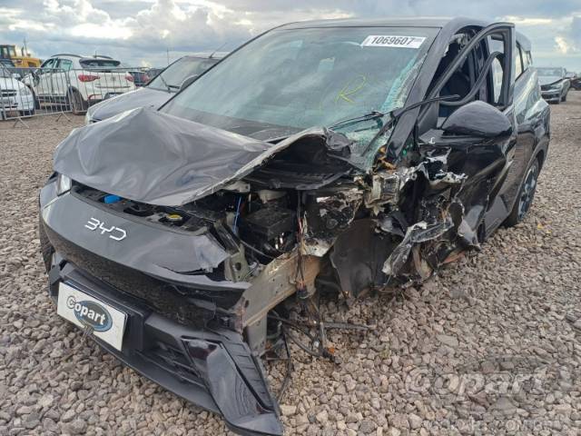 2025 BYD DOLPHIN MINI 