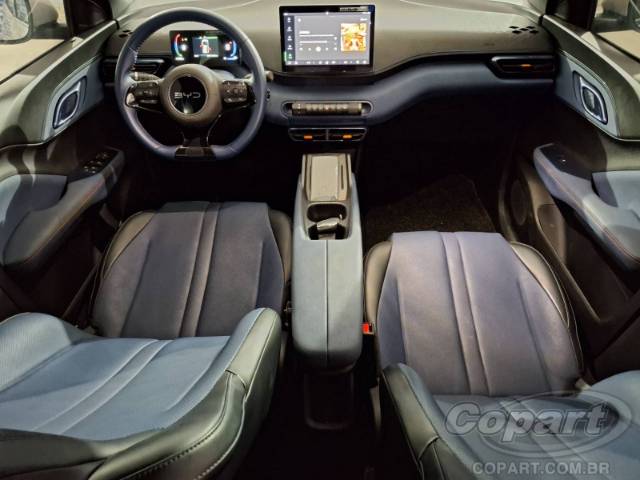 2025 BYD DOLPHIN MINI 