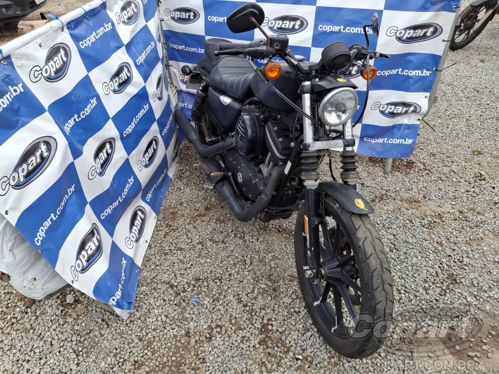 Veículo HARLEY-DAVIDSON Sportster Harley-Davidson Sportster XL 883N Iron 2018 Médio Estado 2018 em leilão