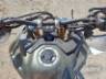 2026 TRIUMPH TIGER 