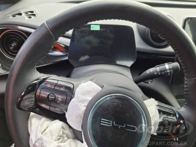 2025 BYD DOLPHIN 