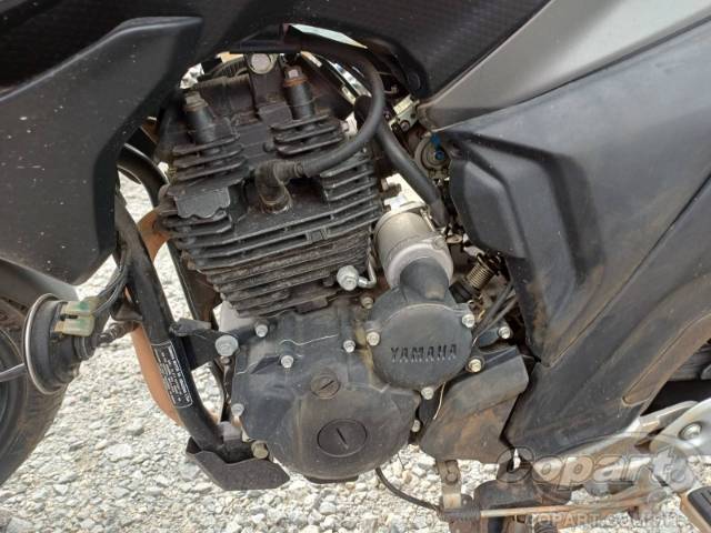 2024 YAMAHA FZ25 FAZER 