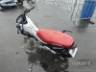 2025 HONDA POP 