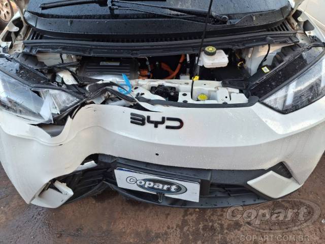 2026 BYD DOLPHIN MINI 