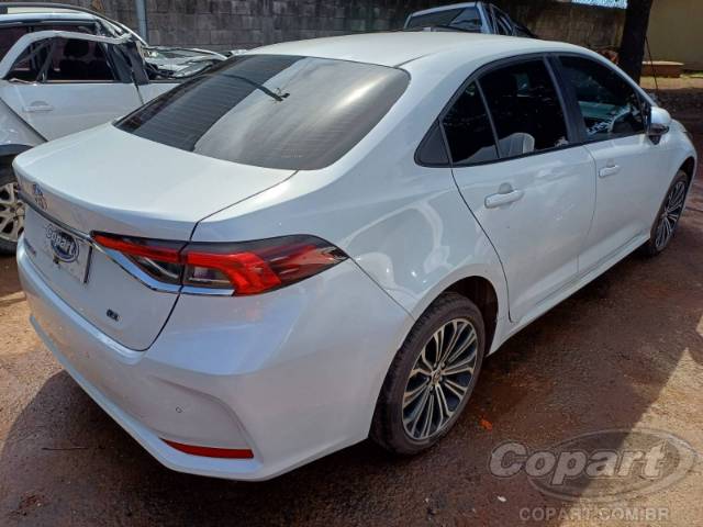 2023 TOYOTA COROLLA 
