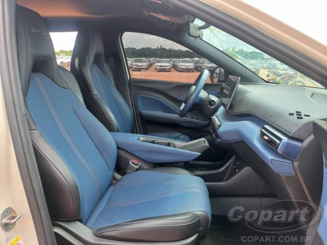 2025 BYD DOLPHIN MINI 