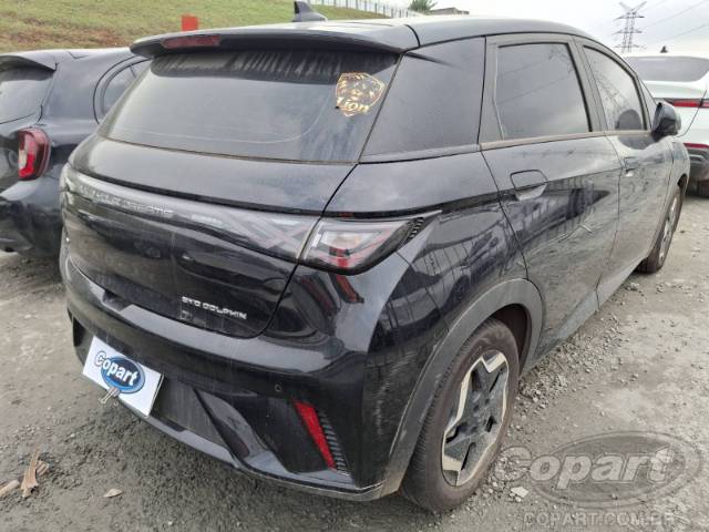 2024 BYD DOLPHIN 