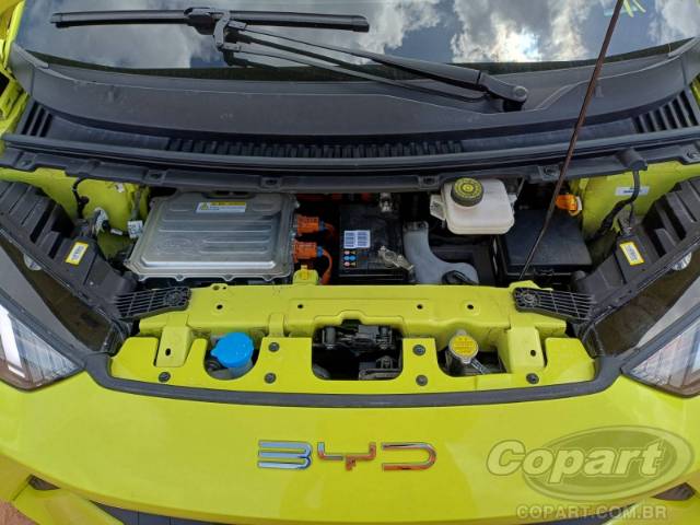 2025 BYD DOLPHIN MINI 