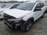 2023 FIAT PULSE 