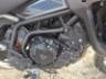2024 TRIUMPH TIGER 