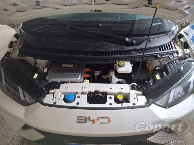 2025 BYD DOLPHIN MINI 