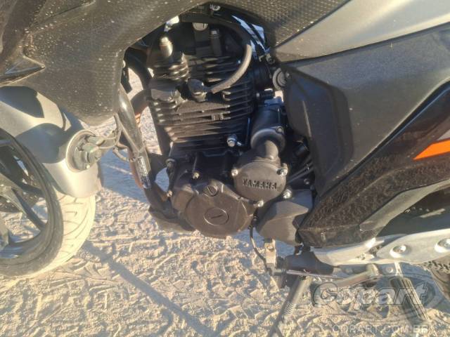 2025 YAMAHA FZ25 FAZER 