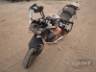2025 TRIUMPH TIGER 
