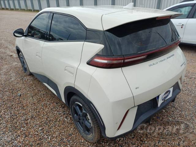 2025 BYD DOLPHIN MINI 