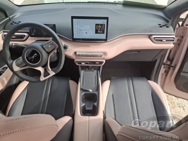 2025 BYD DOLPHIN MINI 