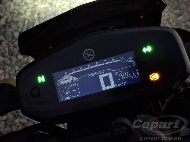 2024 YAMAHA FZ15 