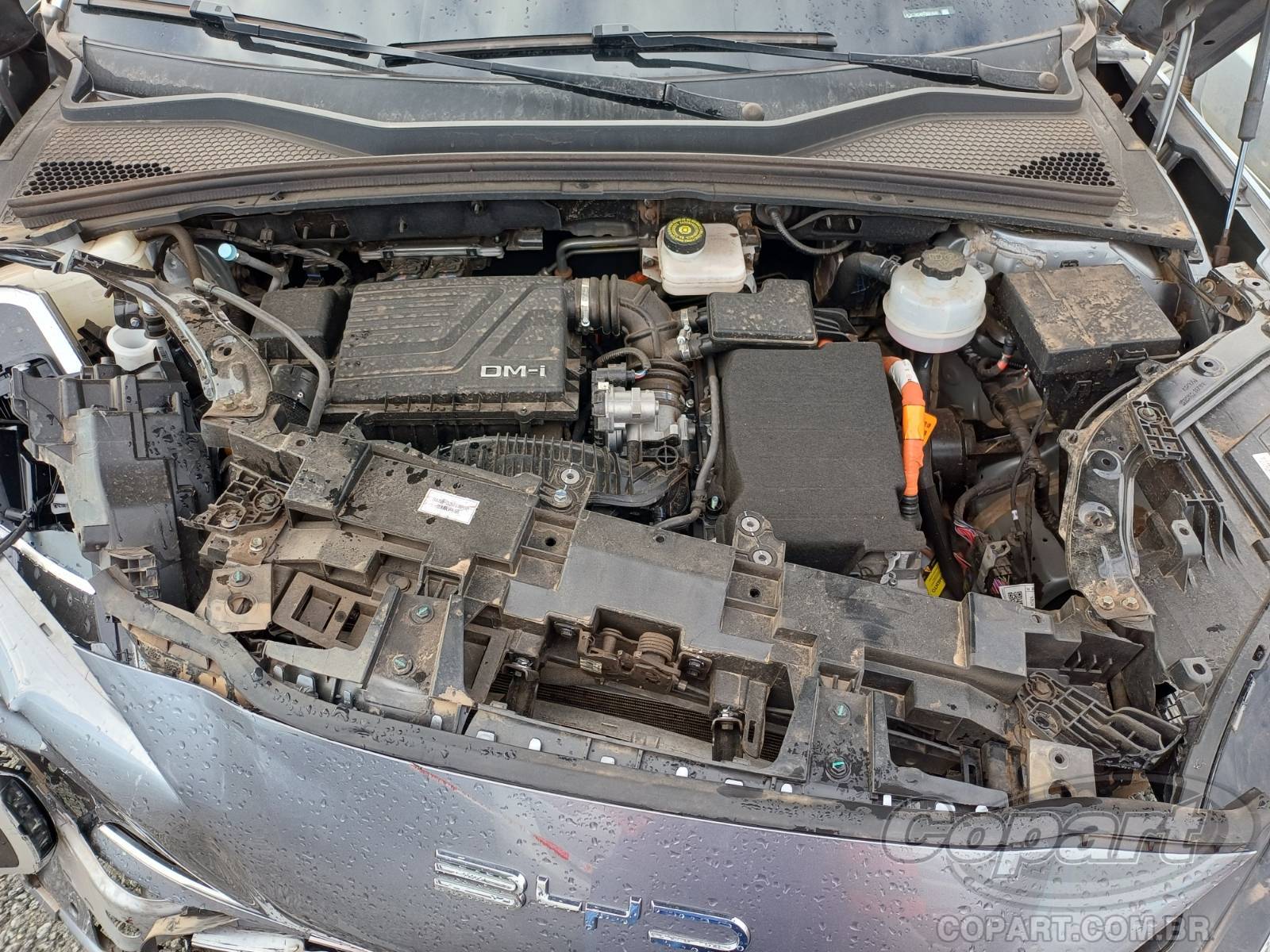 2026 BYD SONG PLUS — foto 7 de 12