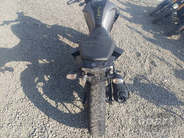 2024 YAMAHA FZ25 FAZER 