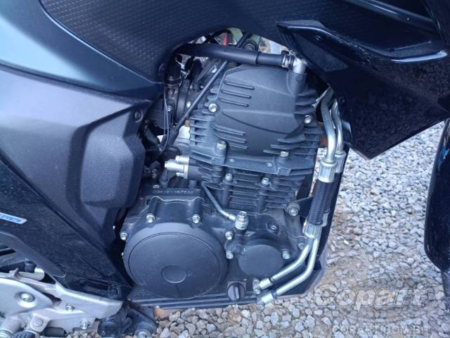 2024 YAMAHA FZ25 FAZER 