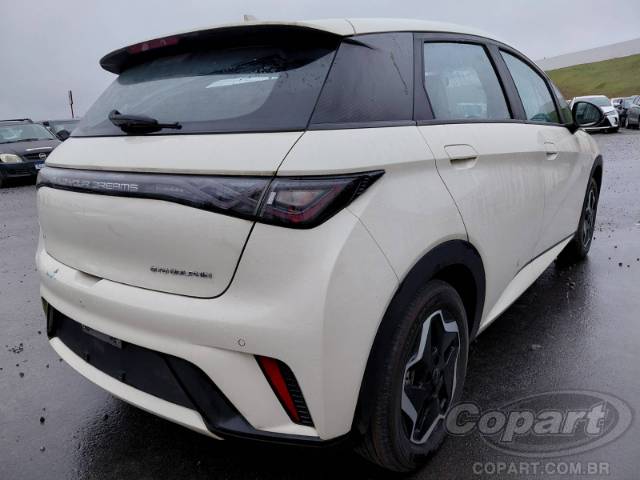 2026 BYD DOLPHIN 