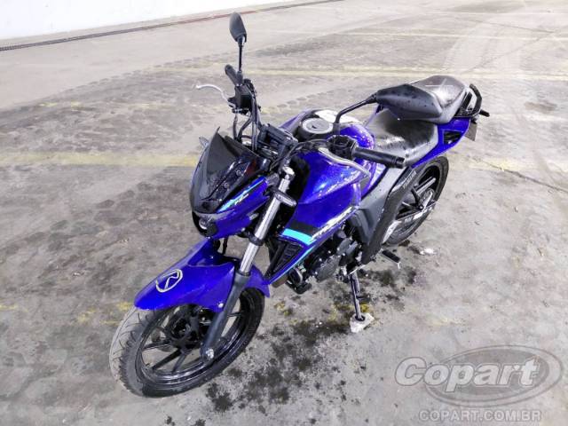 2025 YAMAHA FZ25 FAZER 