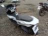 2025 HONDA PCX 