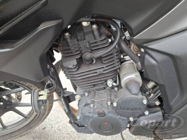 2024 YAMAHA FZ25 FAZER 