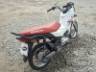 2026 HONDA POP 