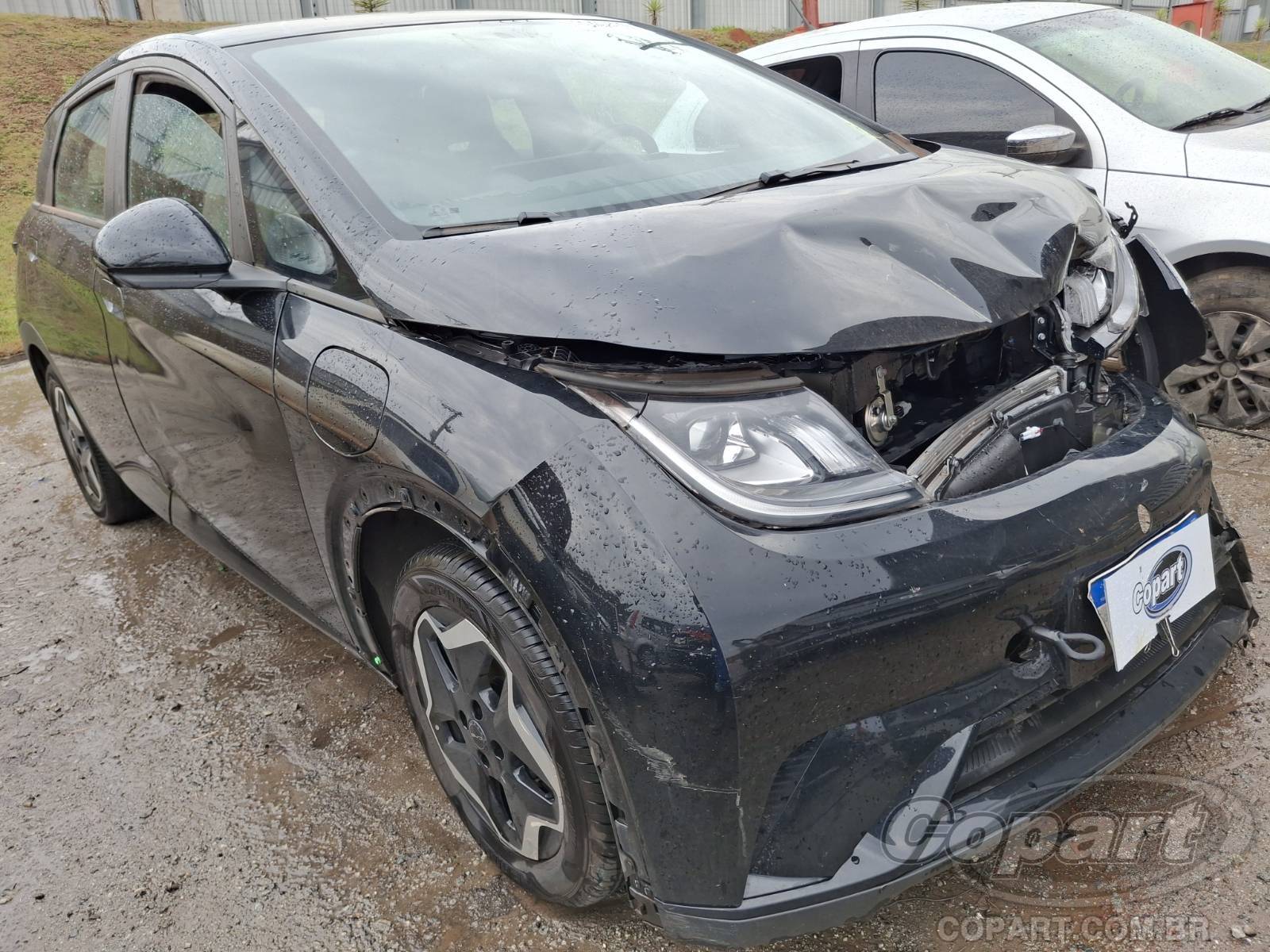 Veículo BYD Dolphin BYD DOLPHIN EV GS 70 KW 2023/2024 2024 em leilão