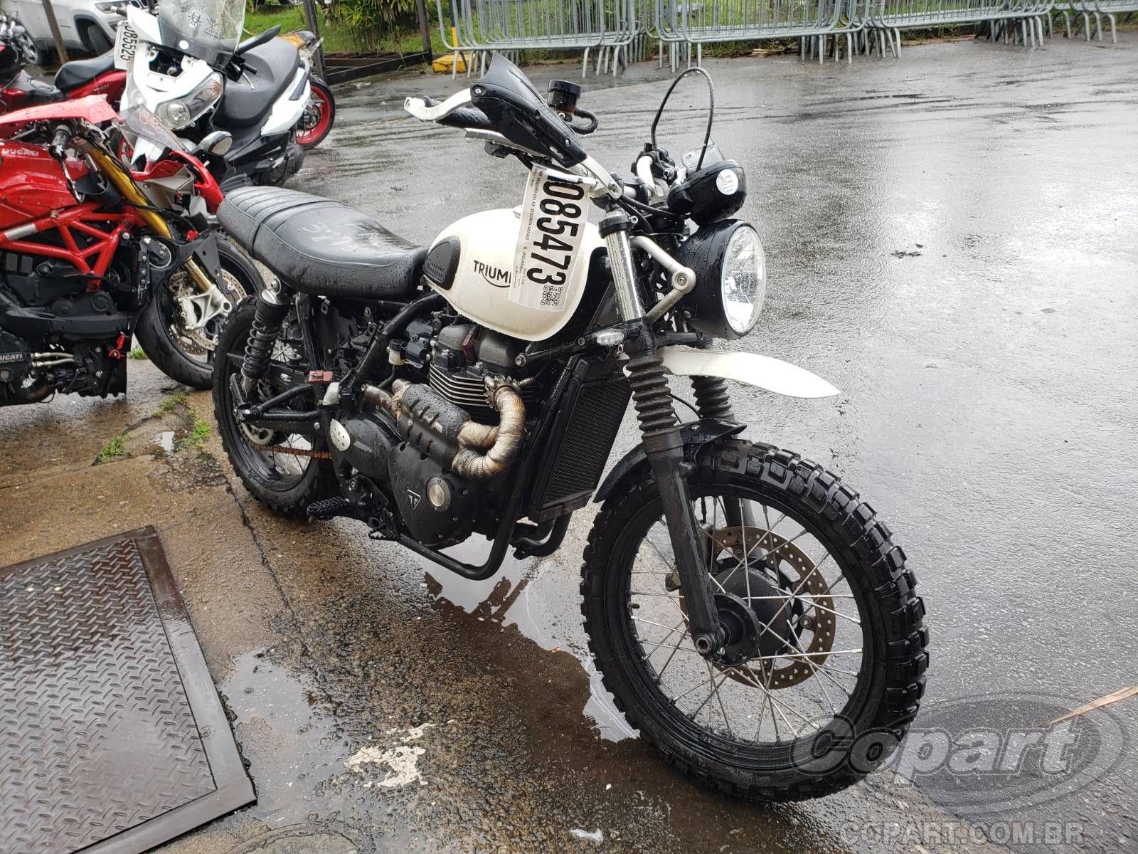 Veículo TRIUMPH STREET SCRAMBLER Triumph Street Scrambler 900 2019 2019 em leilão
